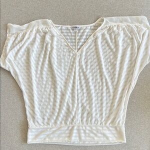 Express Cream Sheer V-Neck Blouse